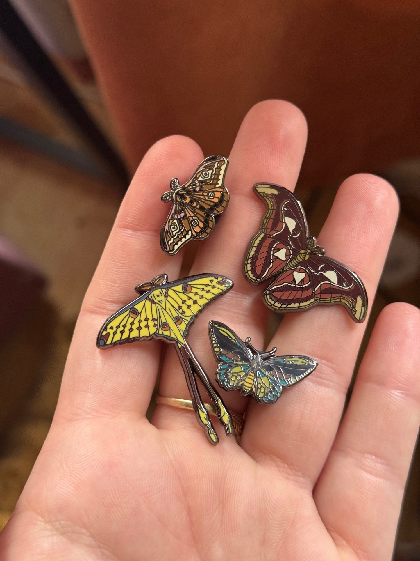 Of Moth and Flame "Bug" Enamel Pin Set (5 Pins)