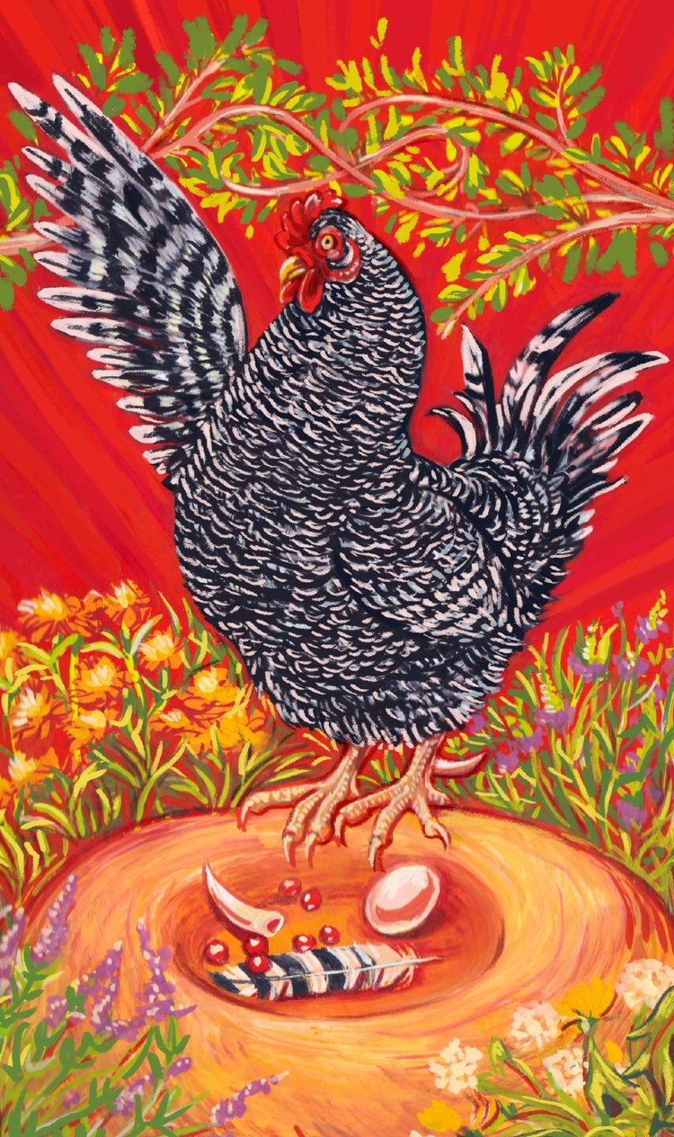 The Chicken Tarot by Claire Donaldson