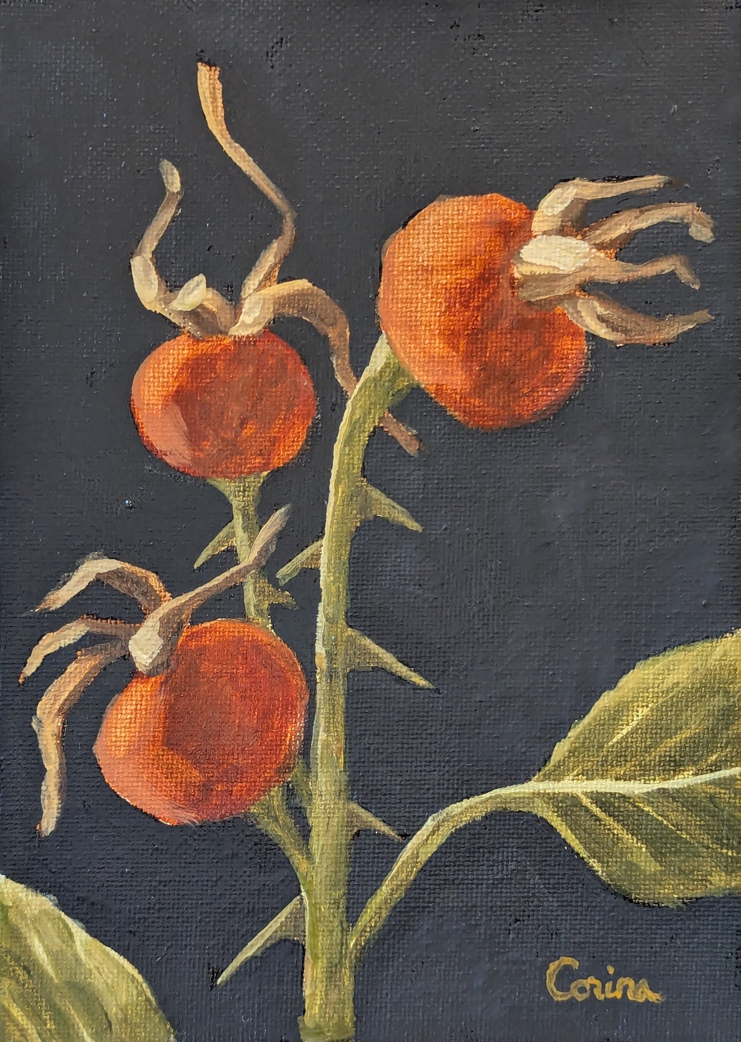 Corina Linden "Persephone's Garden: Rosehips"