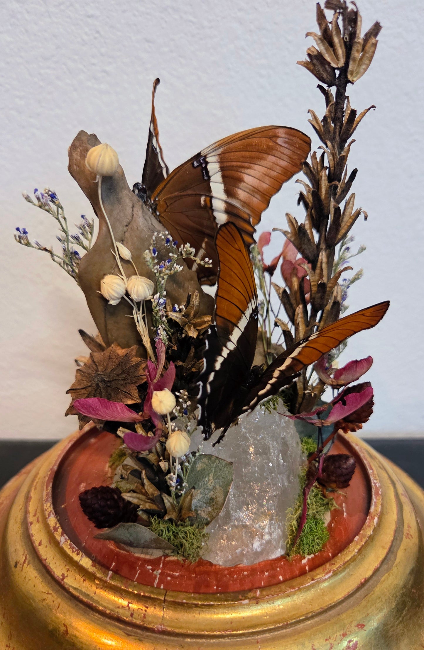 How Queer? Oddities "Untitled 3"
