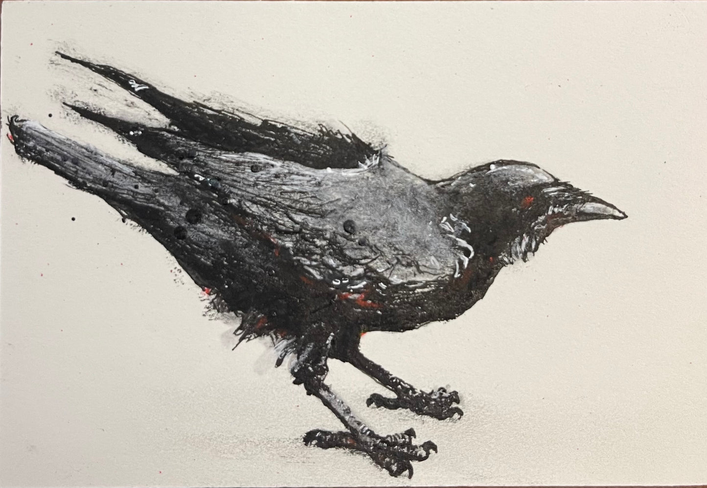 Black and white drawing of a bird on a light background