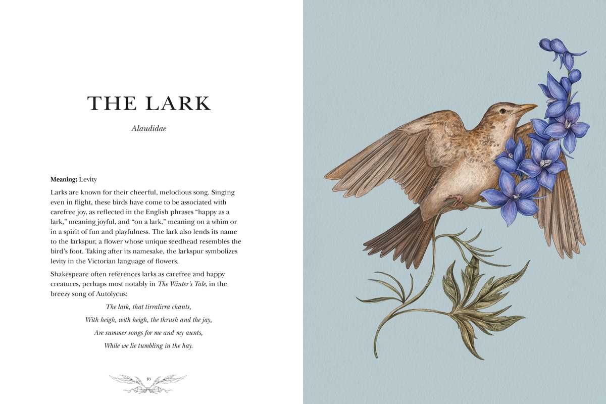 Jessica Roux "Ornithography" Book