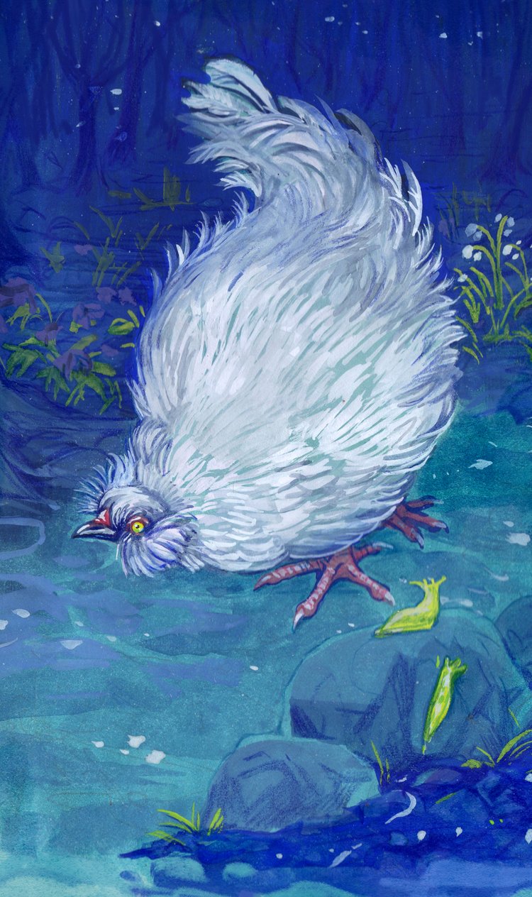 The Chicken Tarot by Claire Donaldson