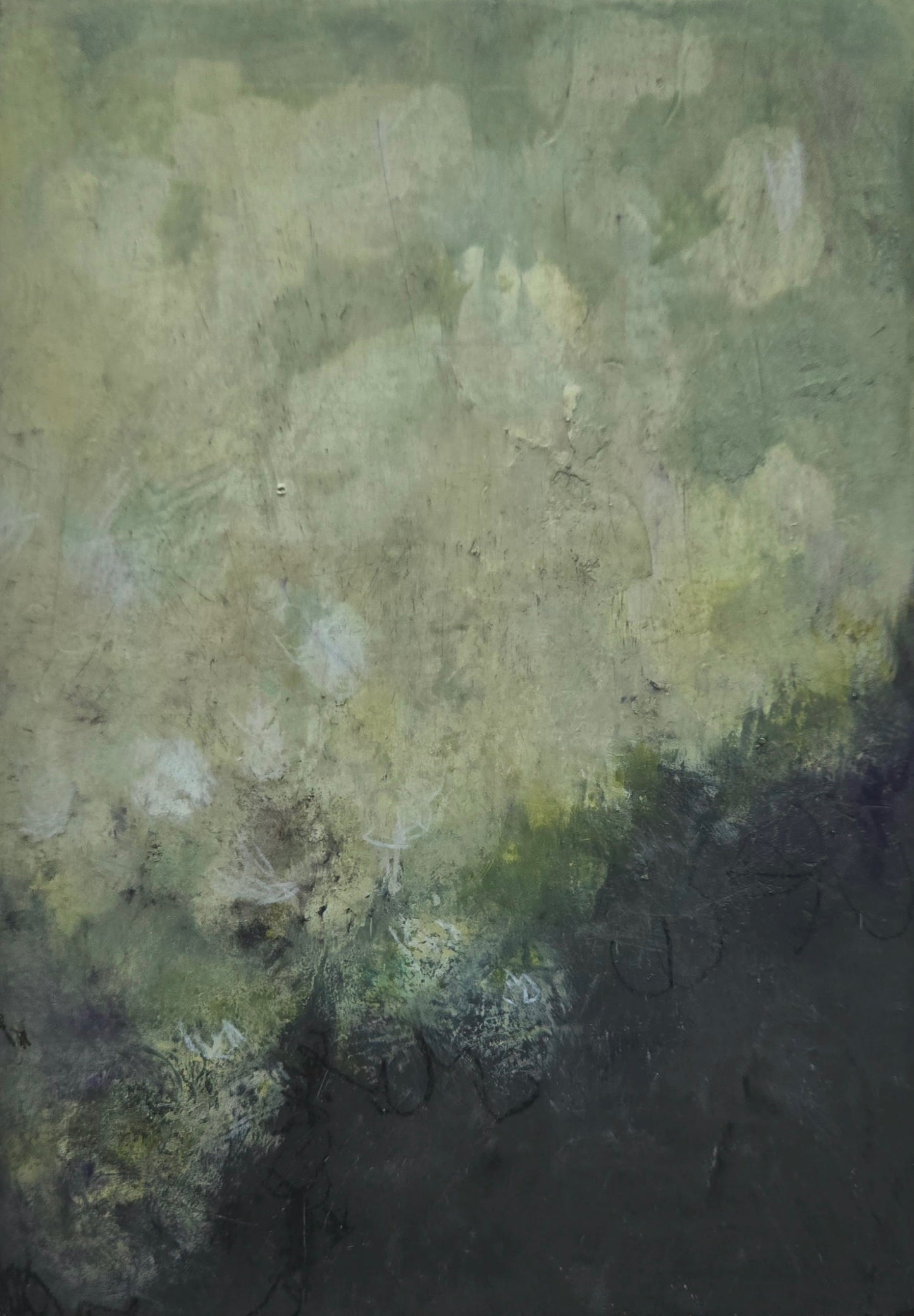 Elise DiGiuseppe "White Hydrangea"