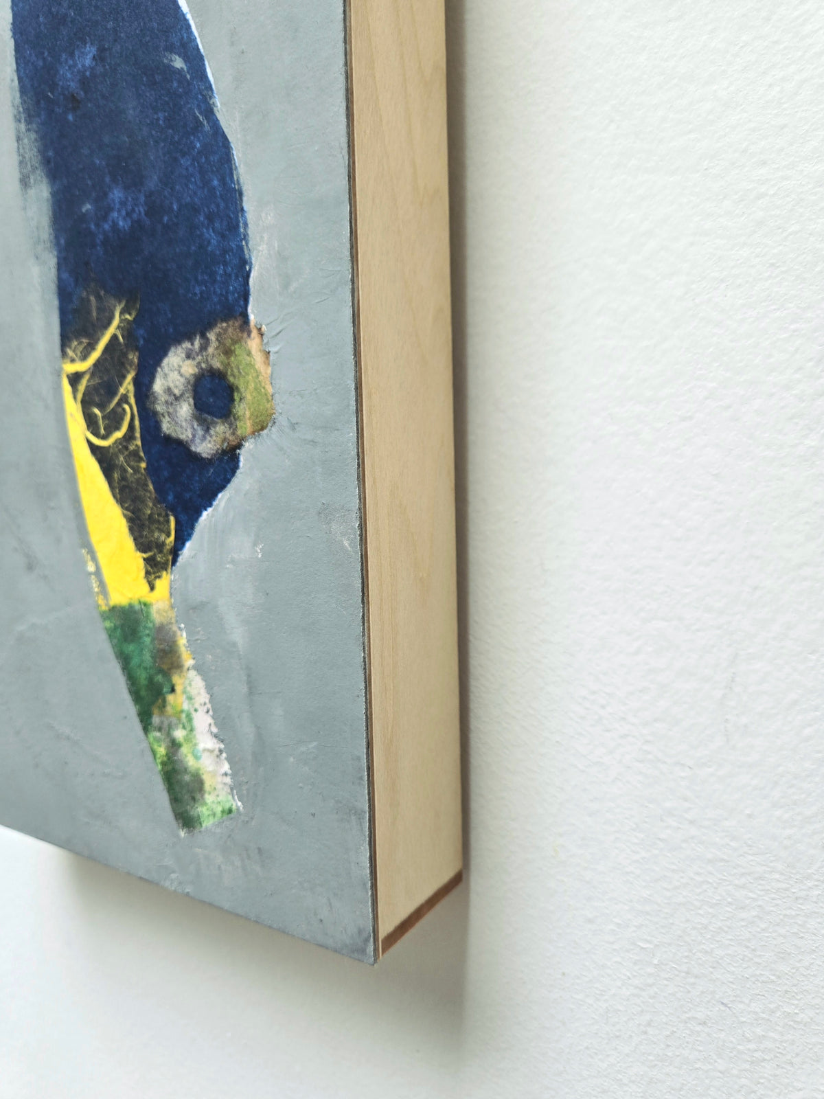 Elise DiGiuseppe "Feather"