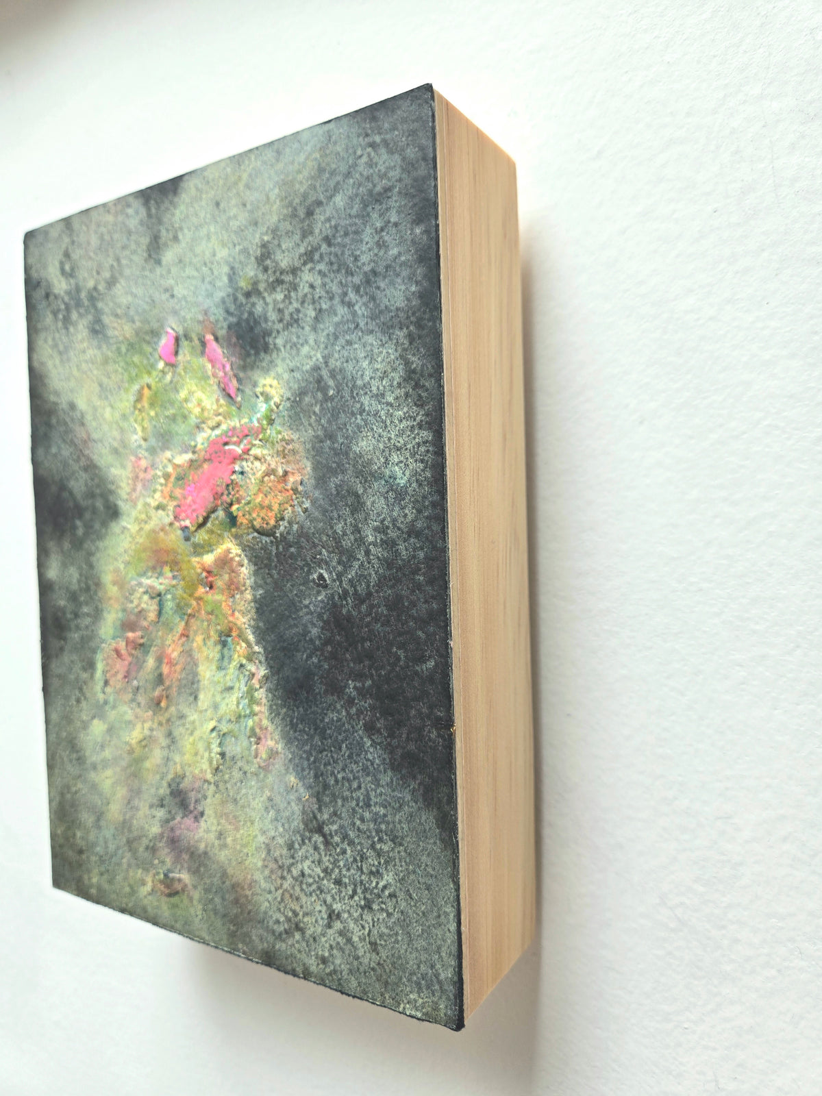 Elise DiGiuseppe "Star Cloud"