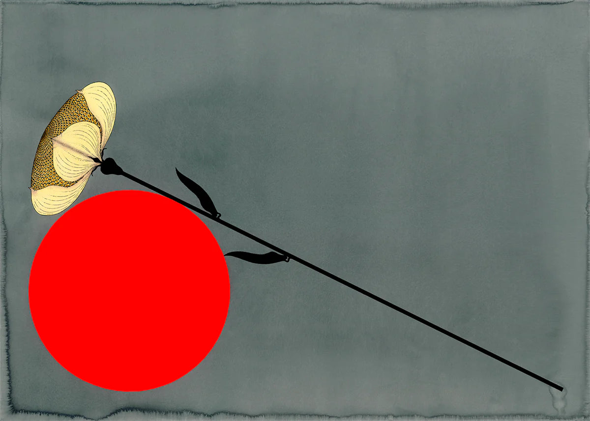 Strange Dirt "When All There is Left is a Longing" *PRE-ORDER 11/7