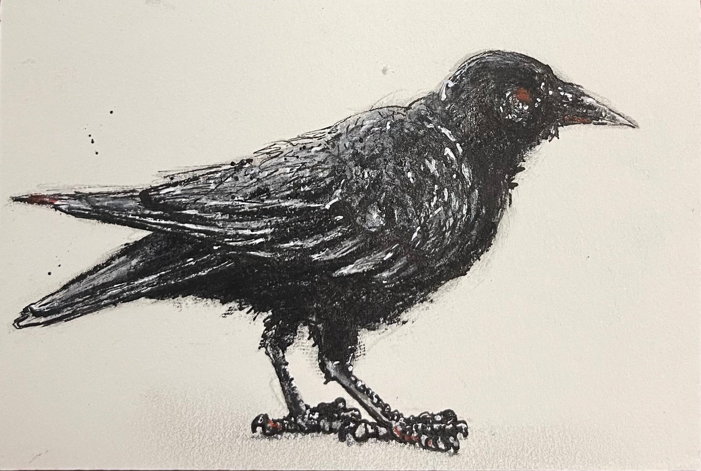 Black ink drawing of a crow on a white background