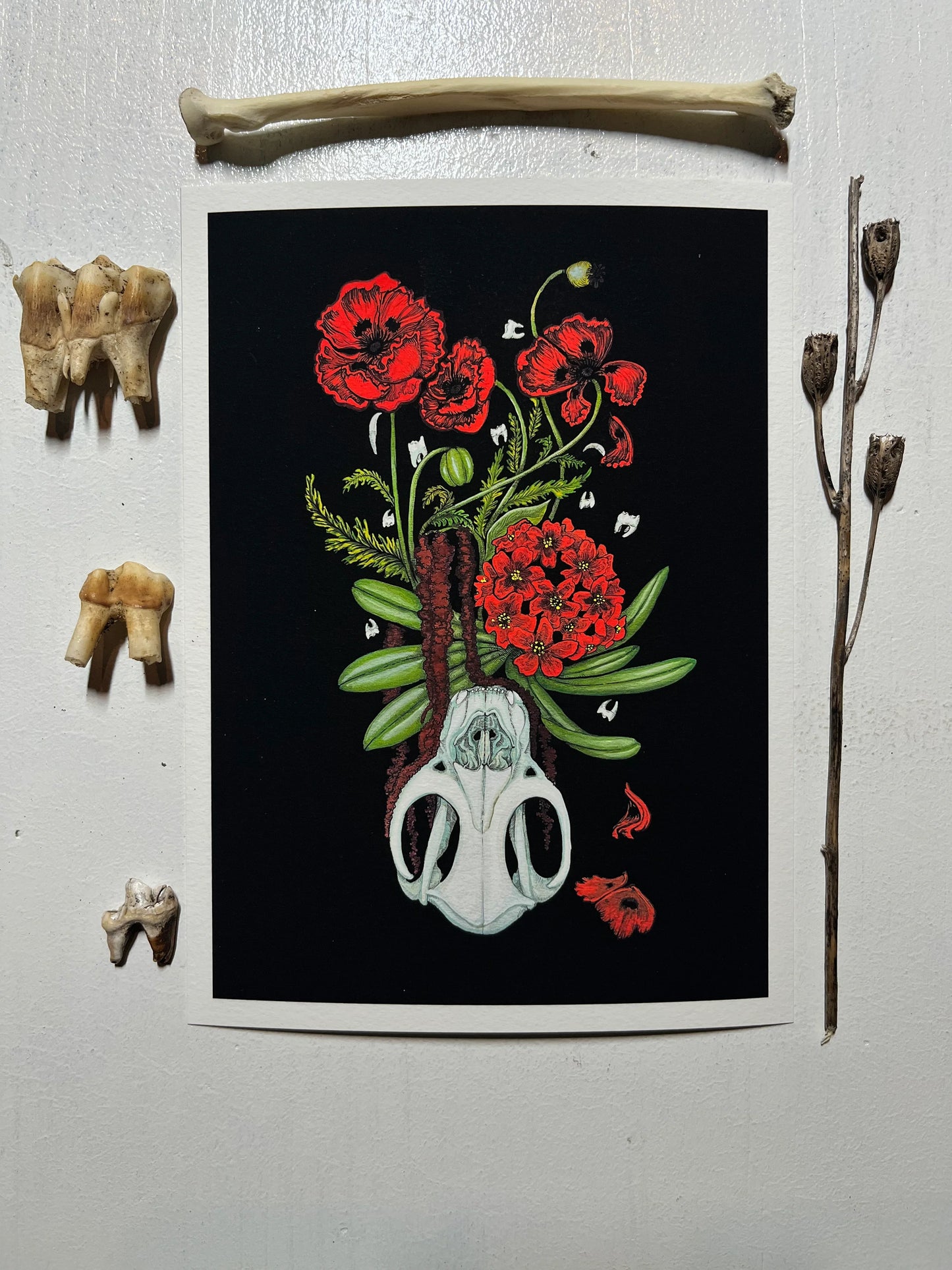 Foxcry Illustration "Ne Obliviscarus: Never forget"