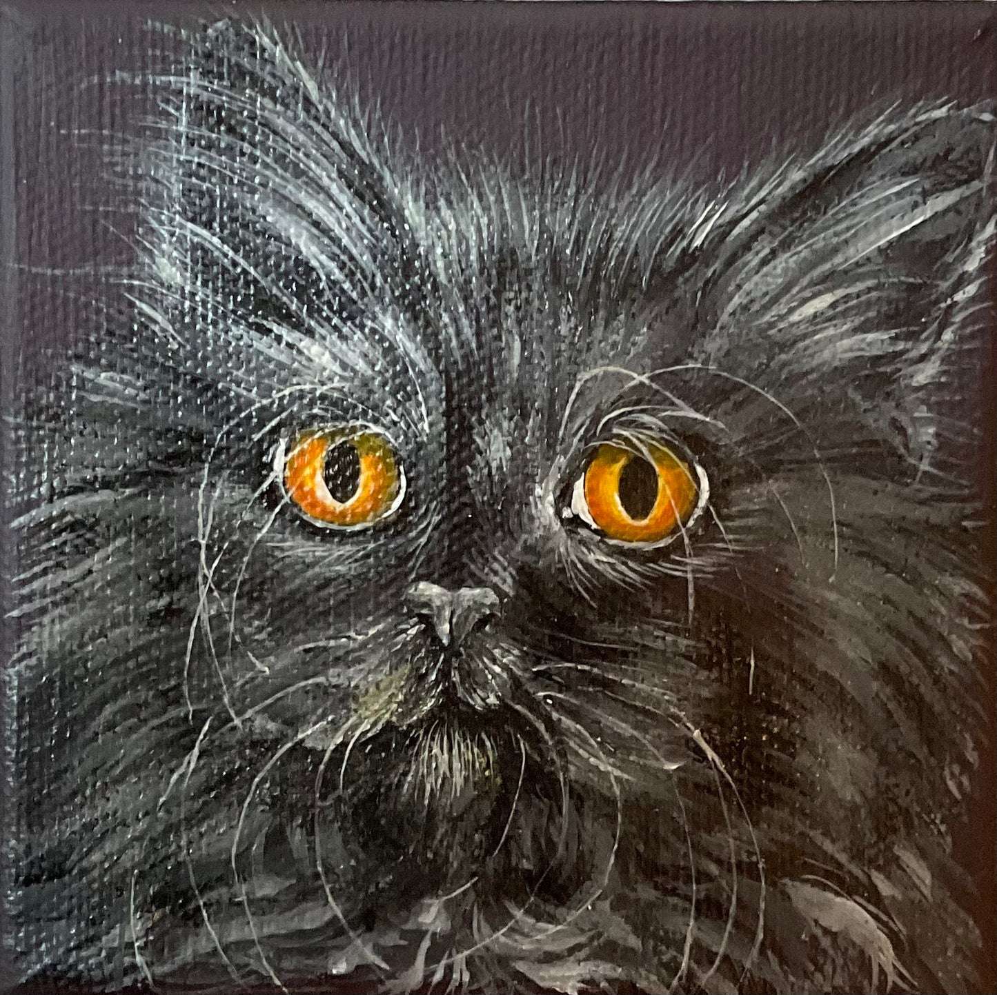 Lisa DeWilde "Albert"