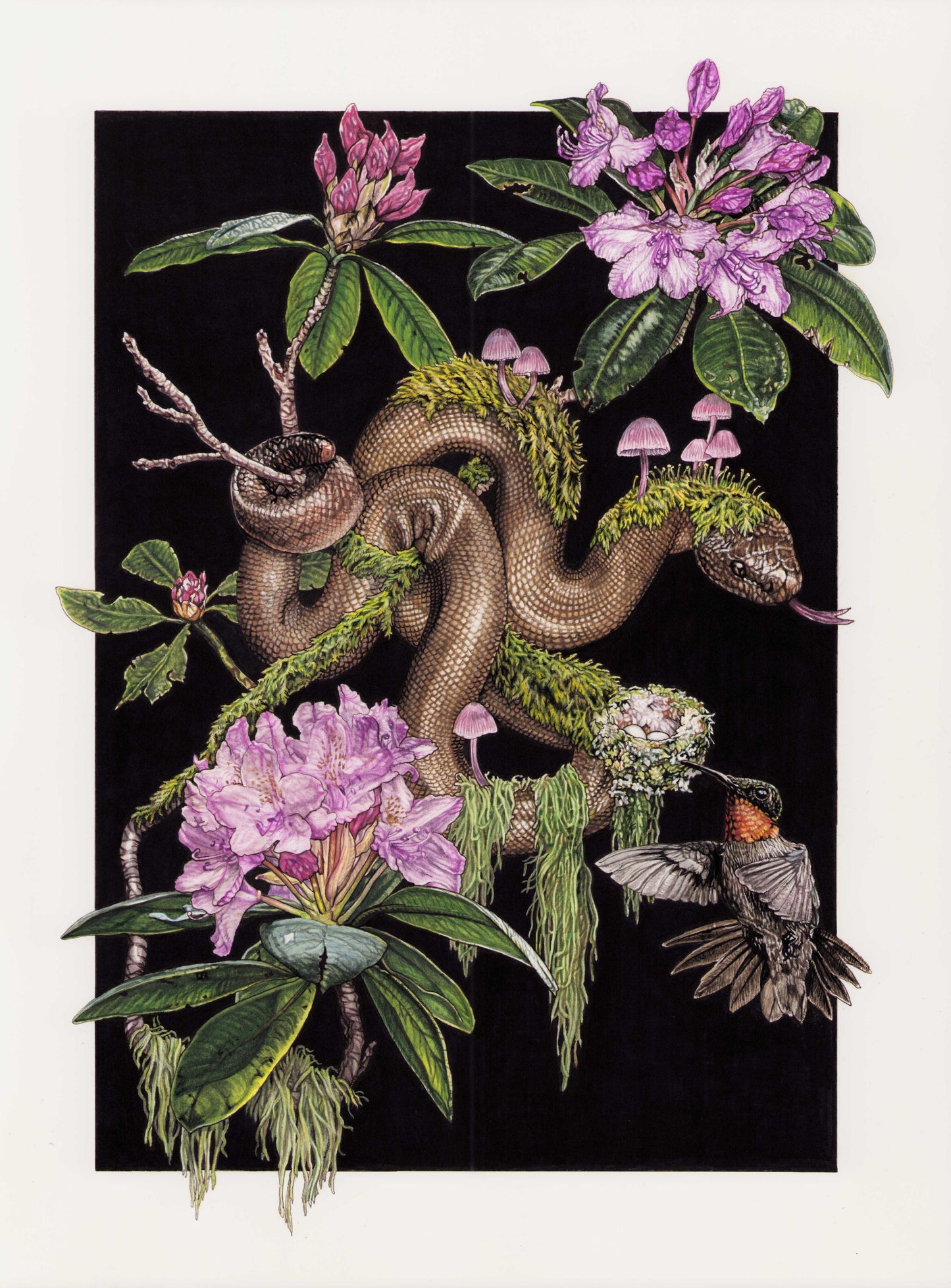 Katrina Haffner "An Unhurried Mind"