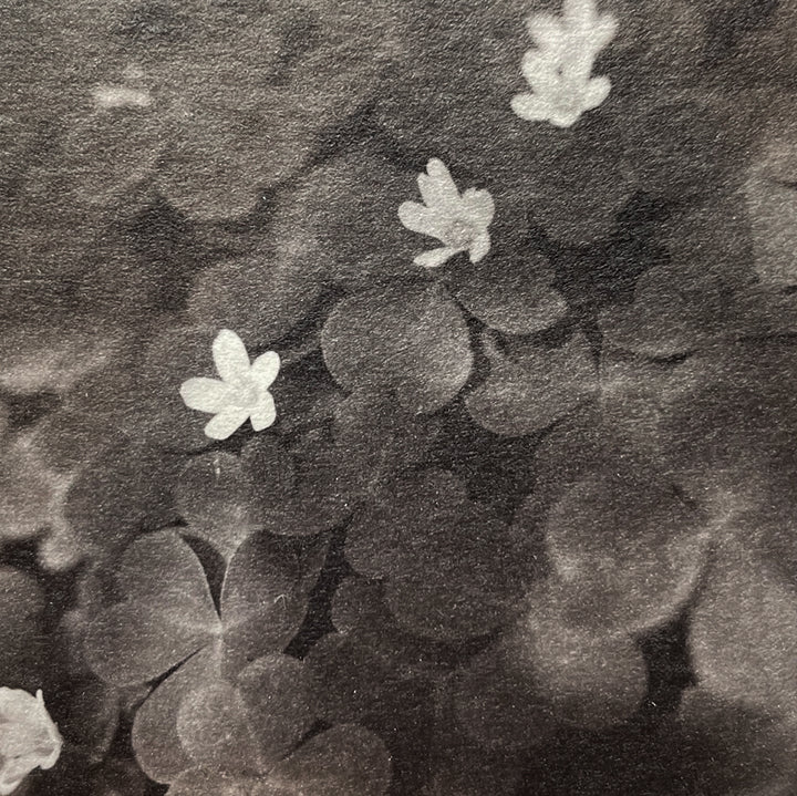 Michelle Smith-Lewis "Becoming - Mini 6"