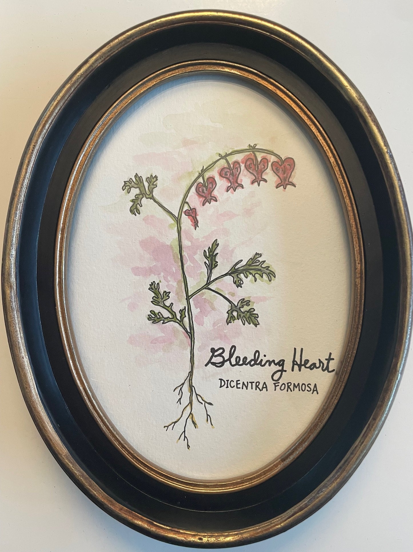 Taha Ebrahimi "Bleeding Heart"
