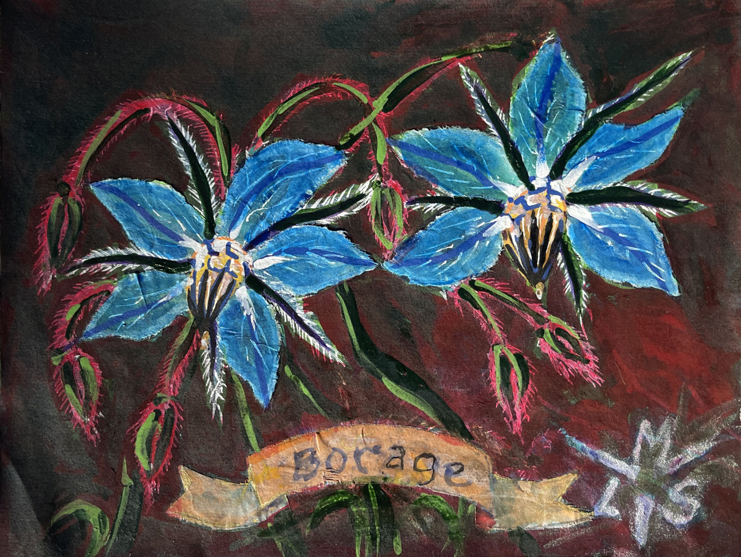 Monica Lisette-Sanchez "Borage"