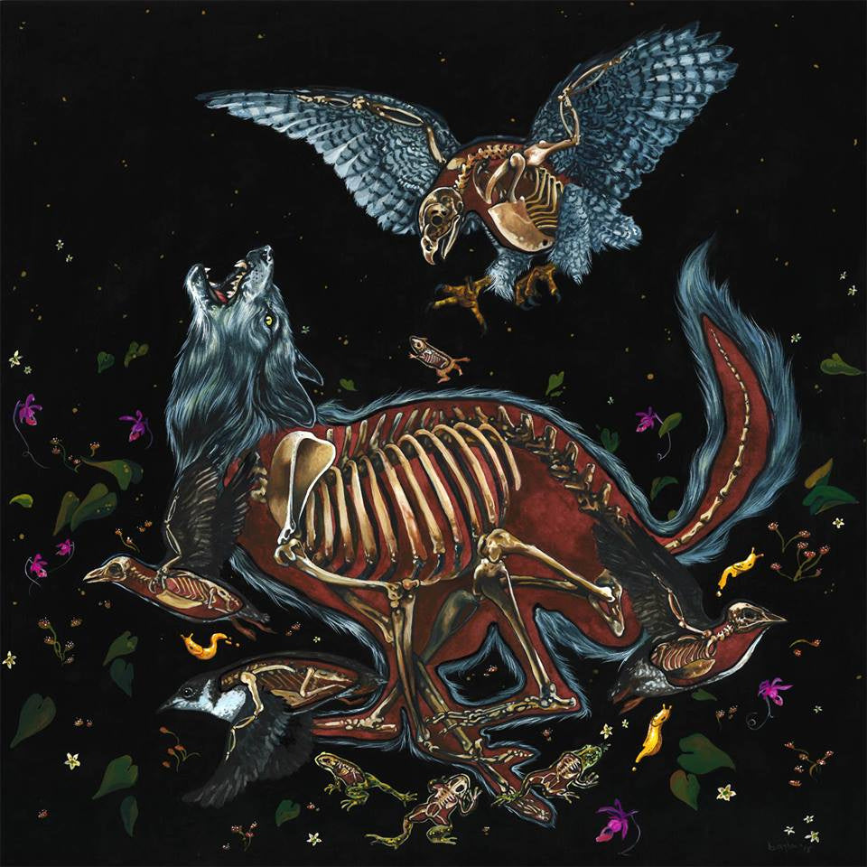 Bayla Arietta "Boreal Forest"