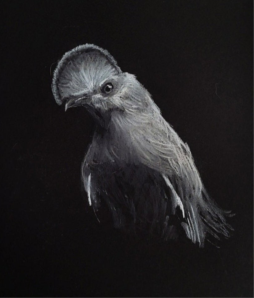 Sandy Elizabeth "Gaze"