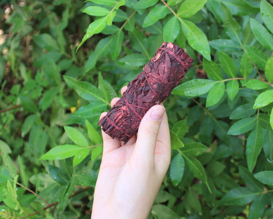 Dragon's Blood Smudge Bundles
