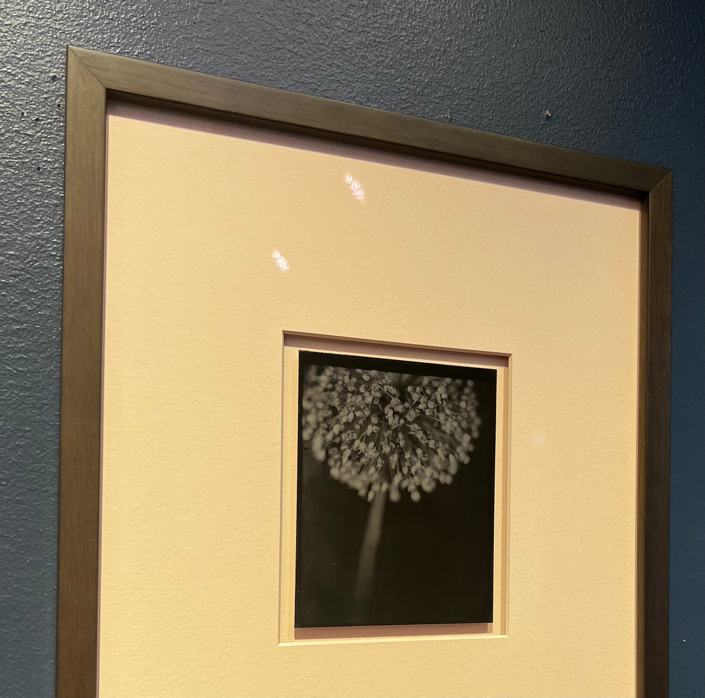 Michelle Smith-Lewis "Portrait of a Leek"