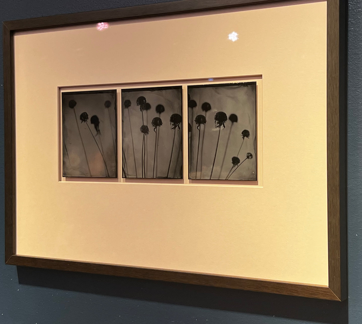 Michelle Smith-Lewis "Portrait of Bee Balm" Triptych