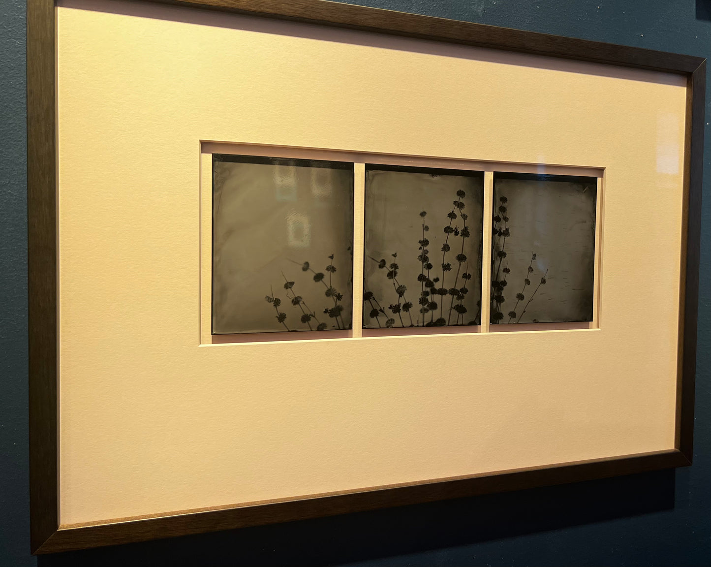 Michelle Smith-Lewis "Portrait of Horehound"