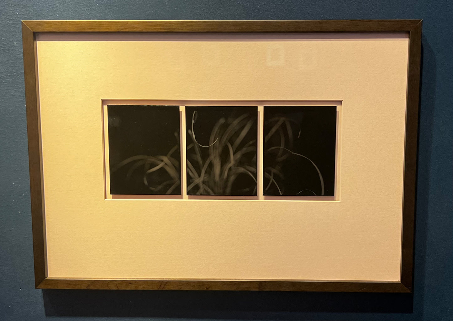 Michelle Smith-Lewis "Portrait of Grass" Triptych