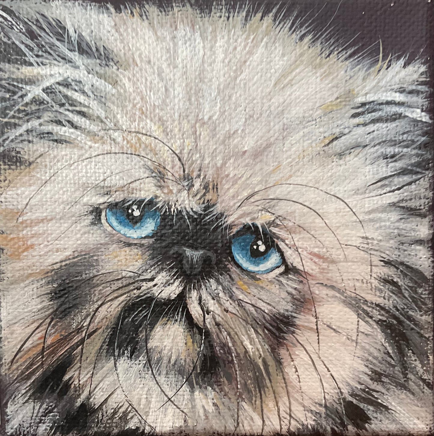 Lisa DeWilde "Hedwig"