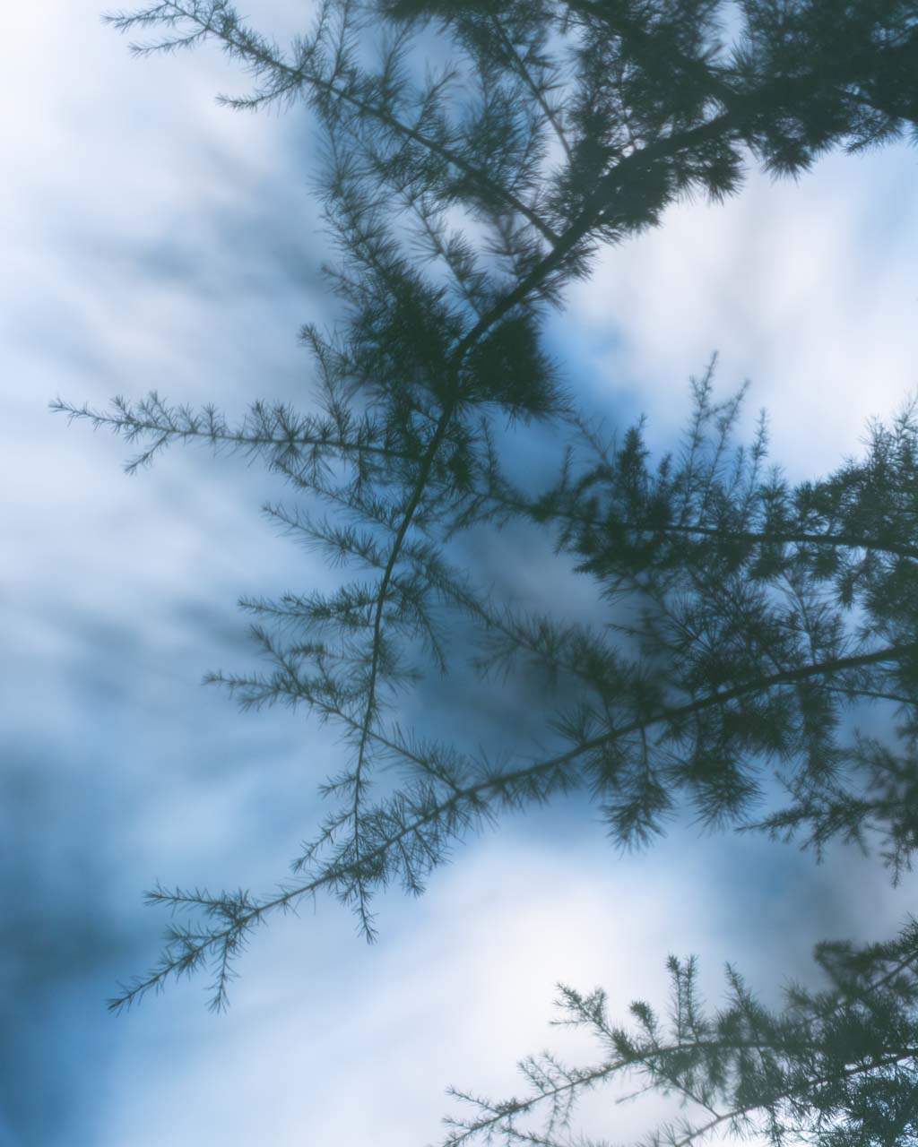 Holly Pendragon "Ghost Runner #16"