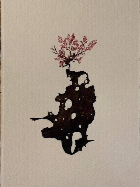 Falling Tide Press "Epiphytes 3"