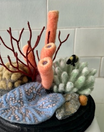 Amalia Morsi "Jardín de coral en peligro de extinción"