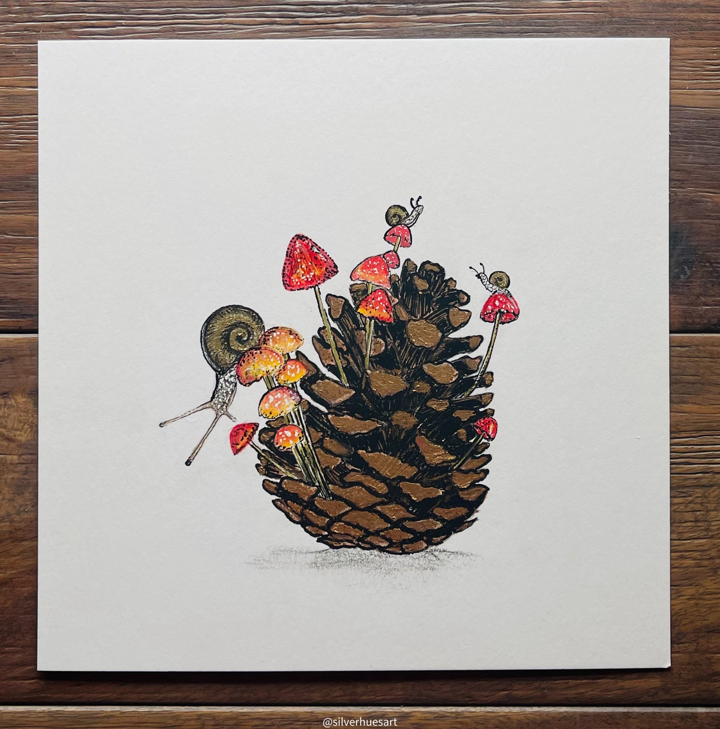 Pavi Karthik "The Pine Terrarium"