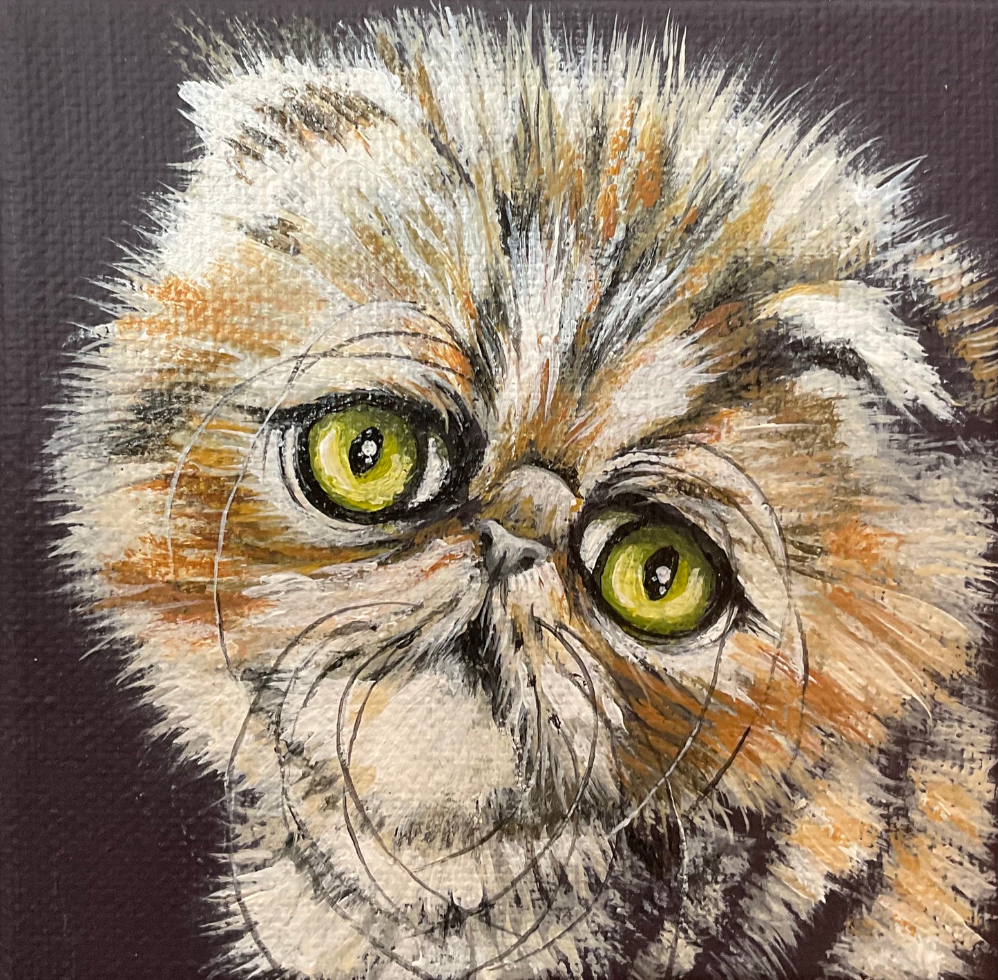 Lisa DeWilde "Louisa"