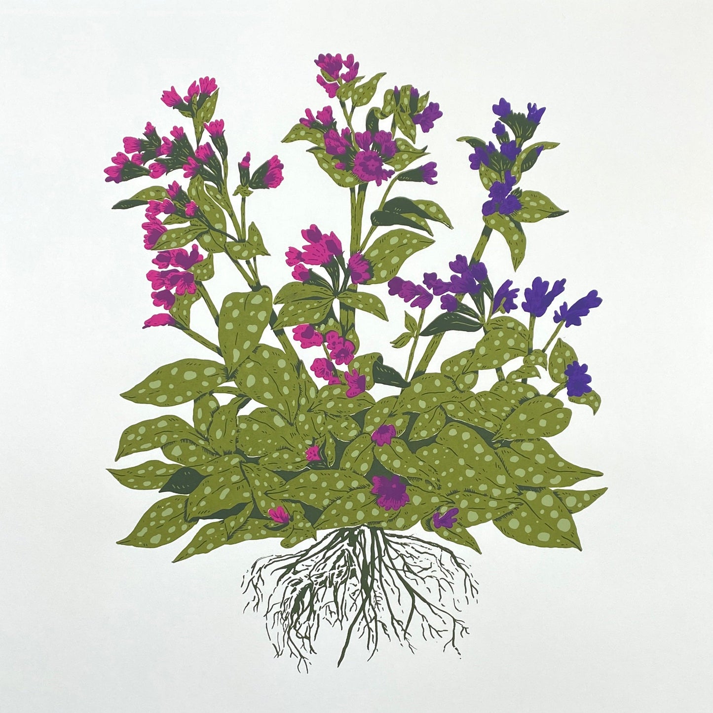 Illustration of a plant with green leaves and purple flowers on a white background