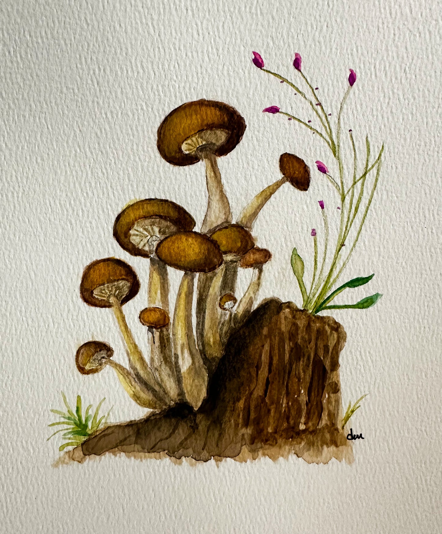 Dawn McGill "Shimeji"