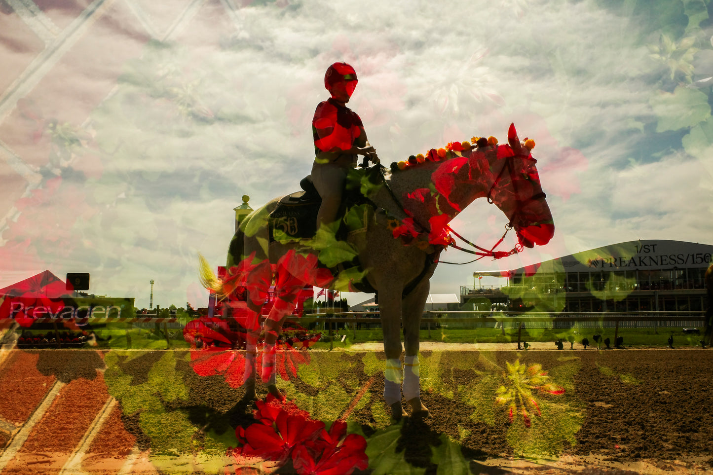 Kaitlin Newman "Preakness (193)"