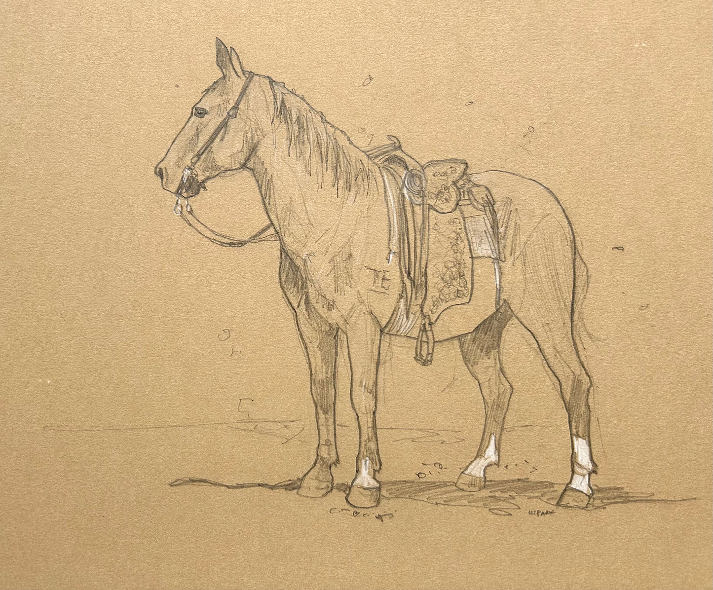 Liz Park "Old Ranch Friend"