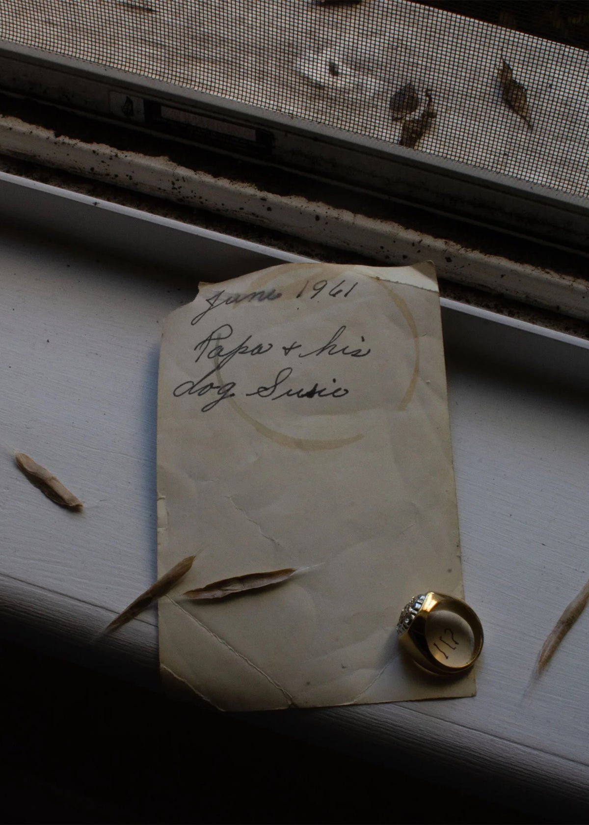 Sierra Greenslade "Papa, June 61" (Online)