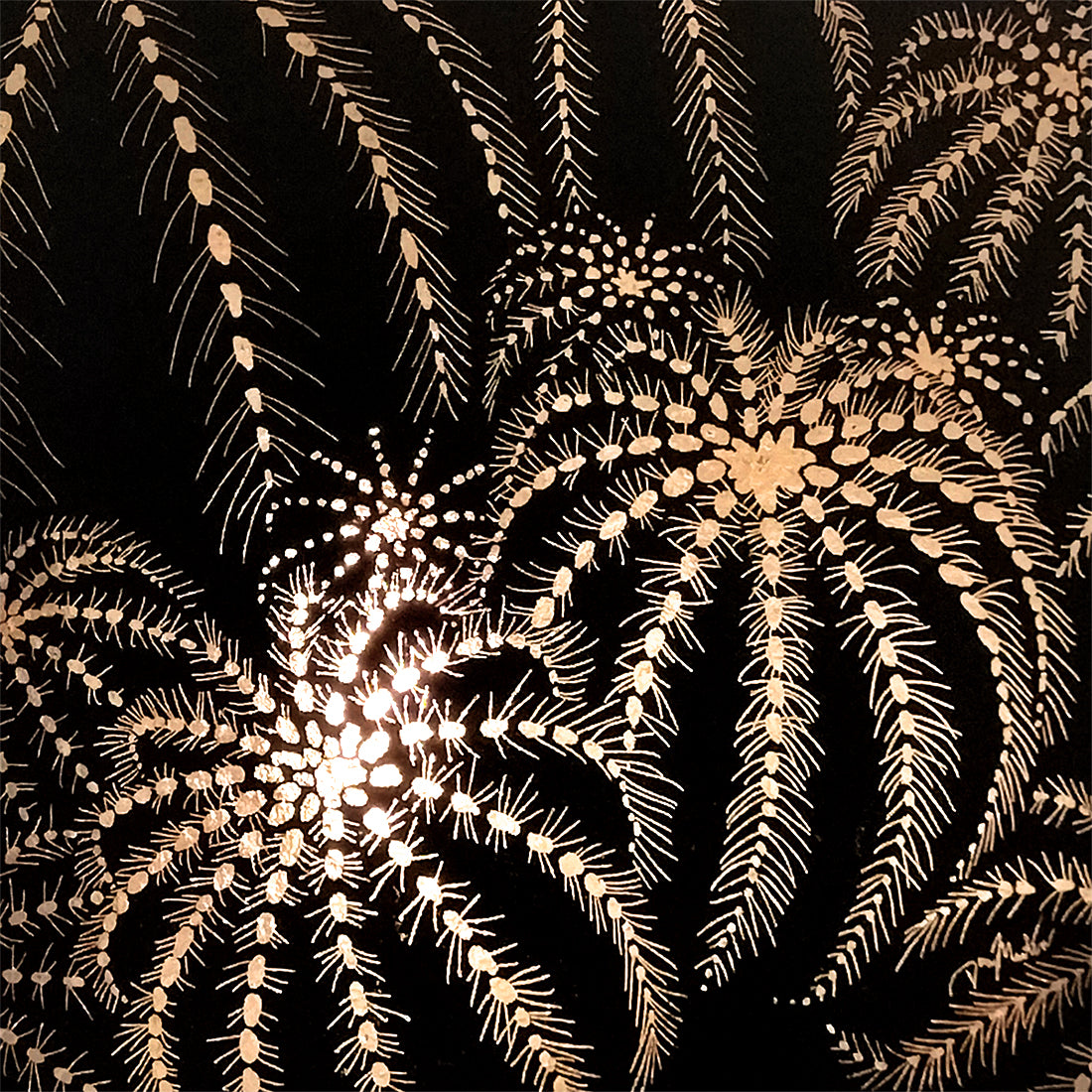 Dana Martin "Parodia magnifica I (Balloon Cactus)"