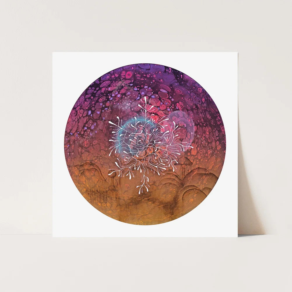 Spencer Sass "Amanita muscaria"