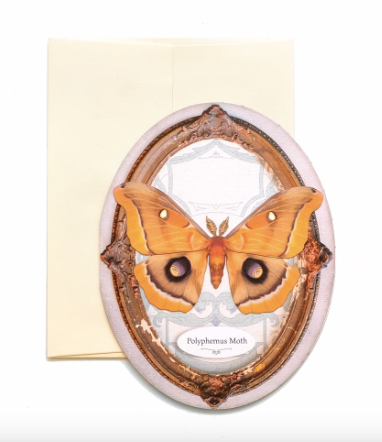 Moth & Myth Polyphemus Moth 'Pop-Out' Greeting Card