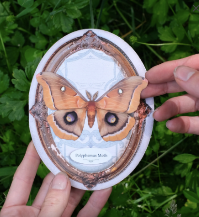 Moth & Myth Polyphemus Moth 'Pop-Out' Greeting Card