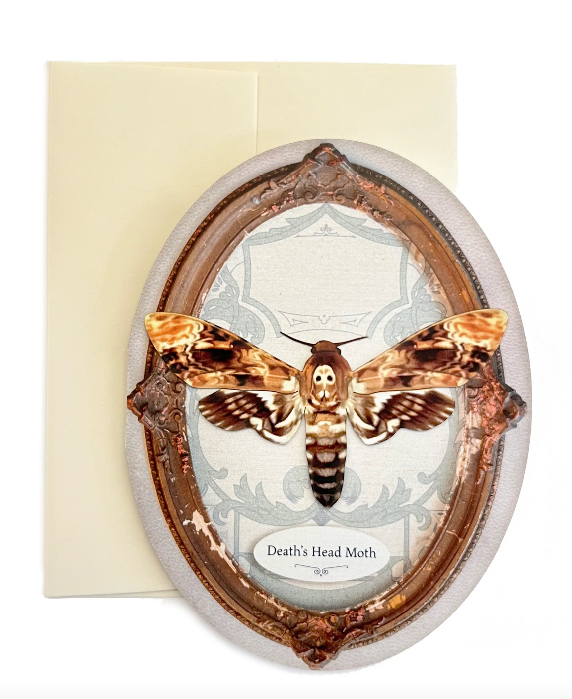 Moth & Myth "Death's Head Moth" Oval Greeting Card