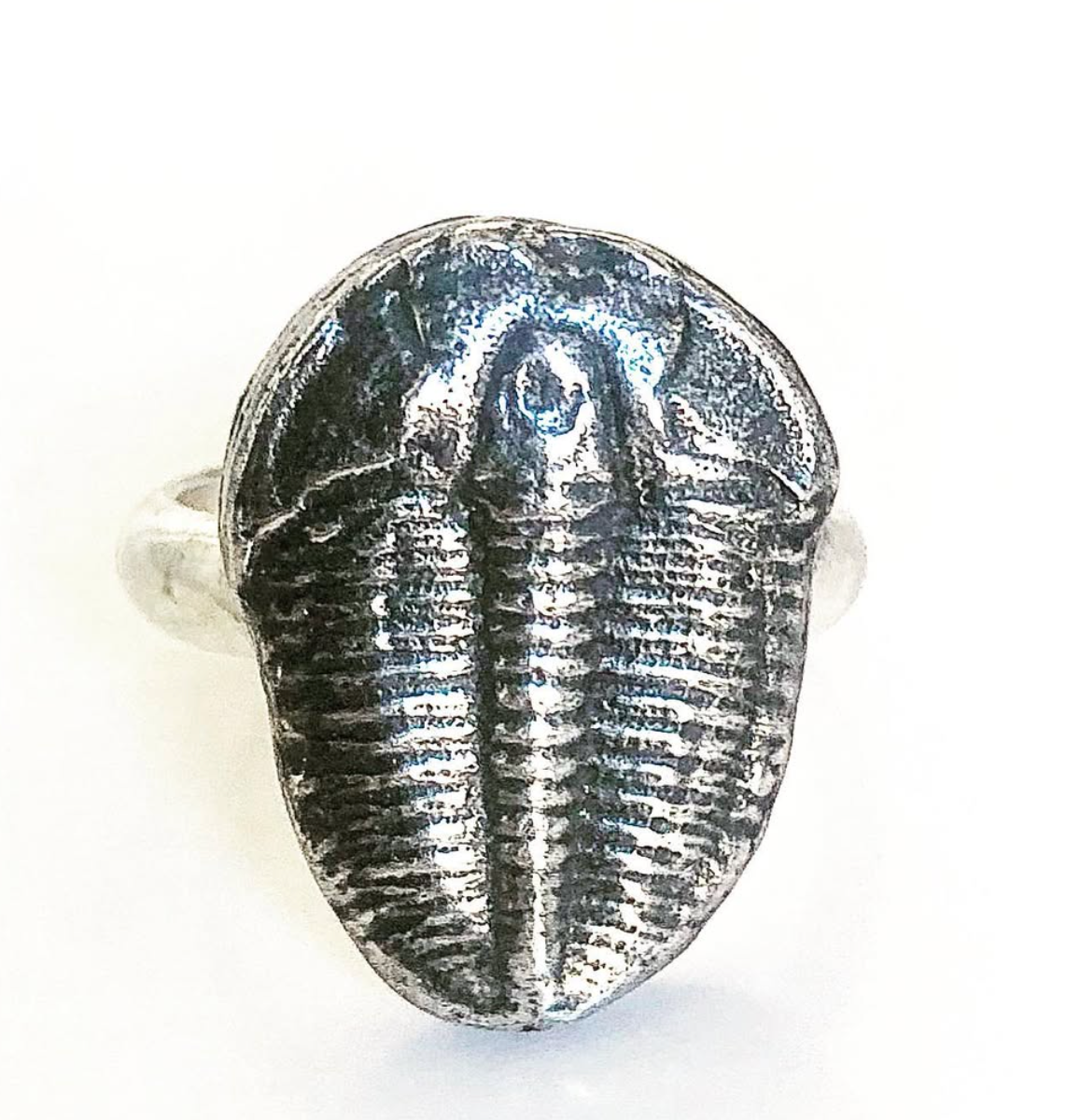 Sigil Jewelry "Trilobite Fossil" Sterling Ring