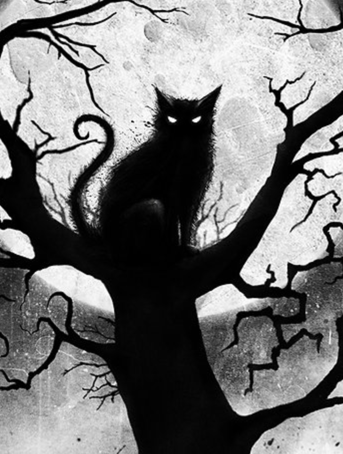 Black cat silhouette in a tree against a moonlit sky