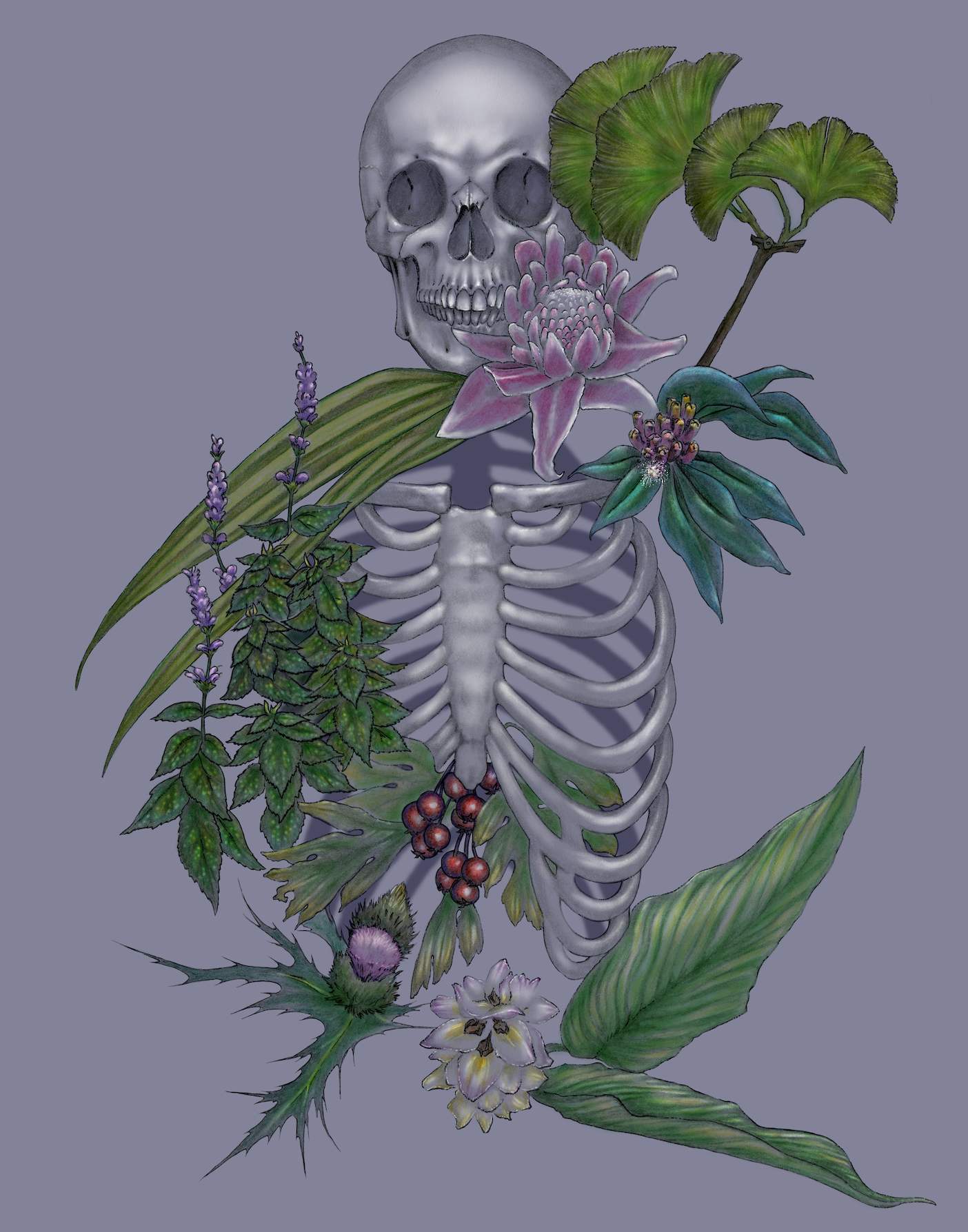Shawnti Lynn Therrien "The Anatomy of Flowers"