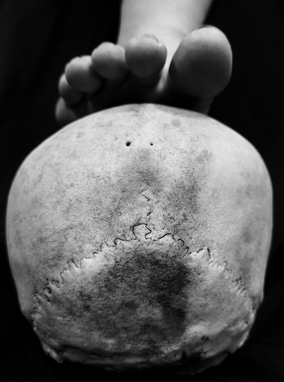 Adel Souto "Ars Moriendi V" (Online)