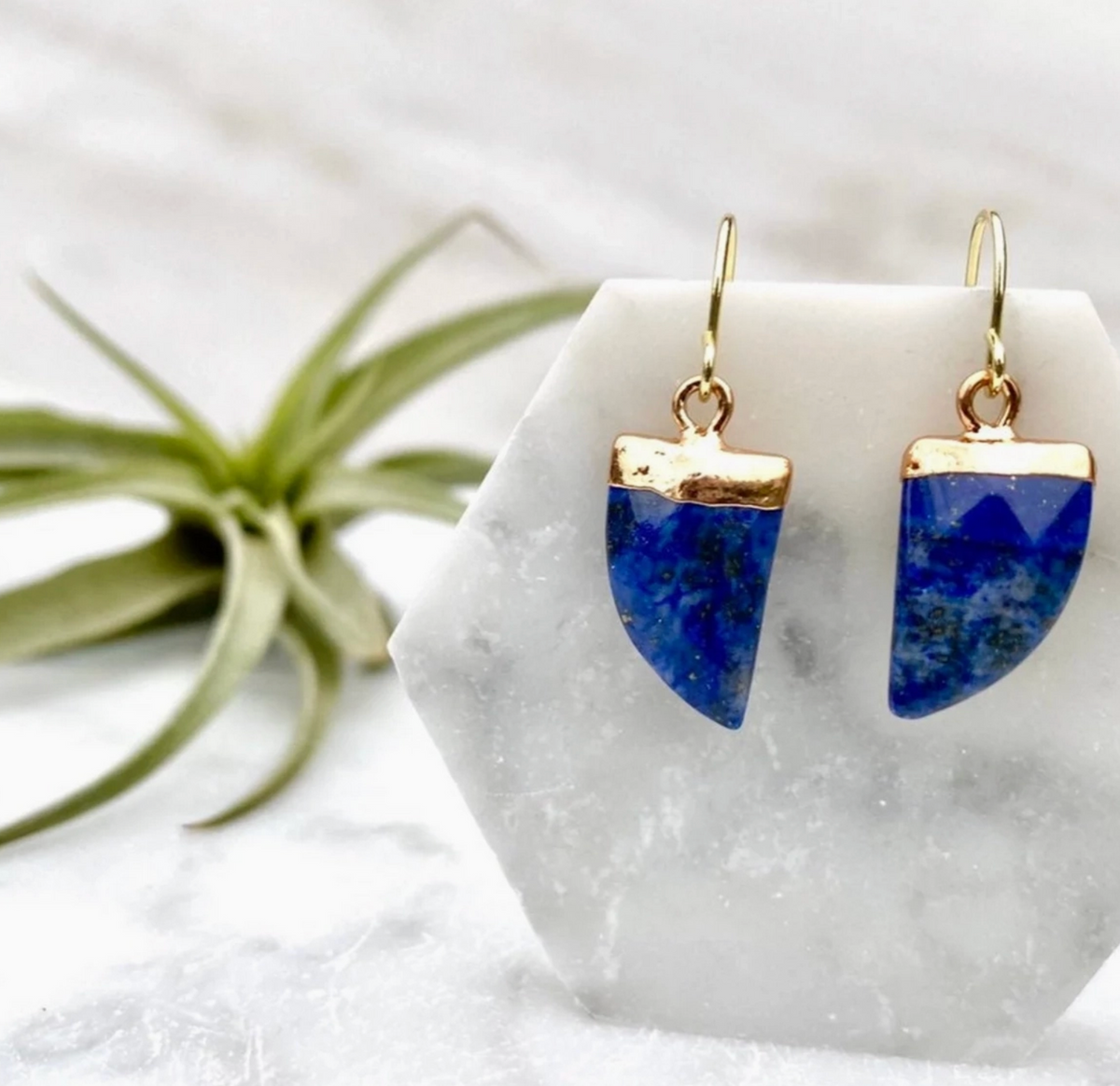 Minor Metal Lapis Lazuli Horn Earrings