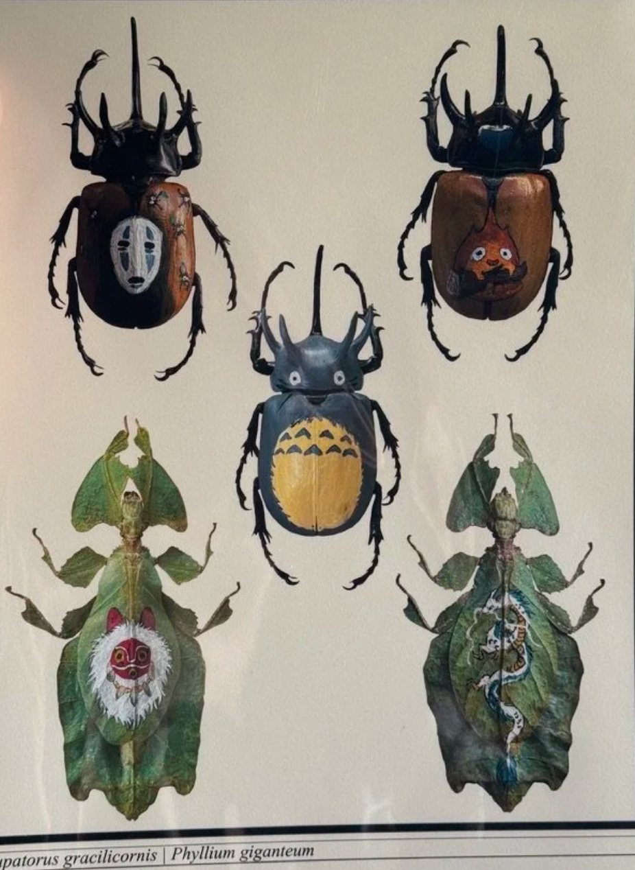 Of Moth & Flame "Ghibli Bugs" Print