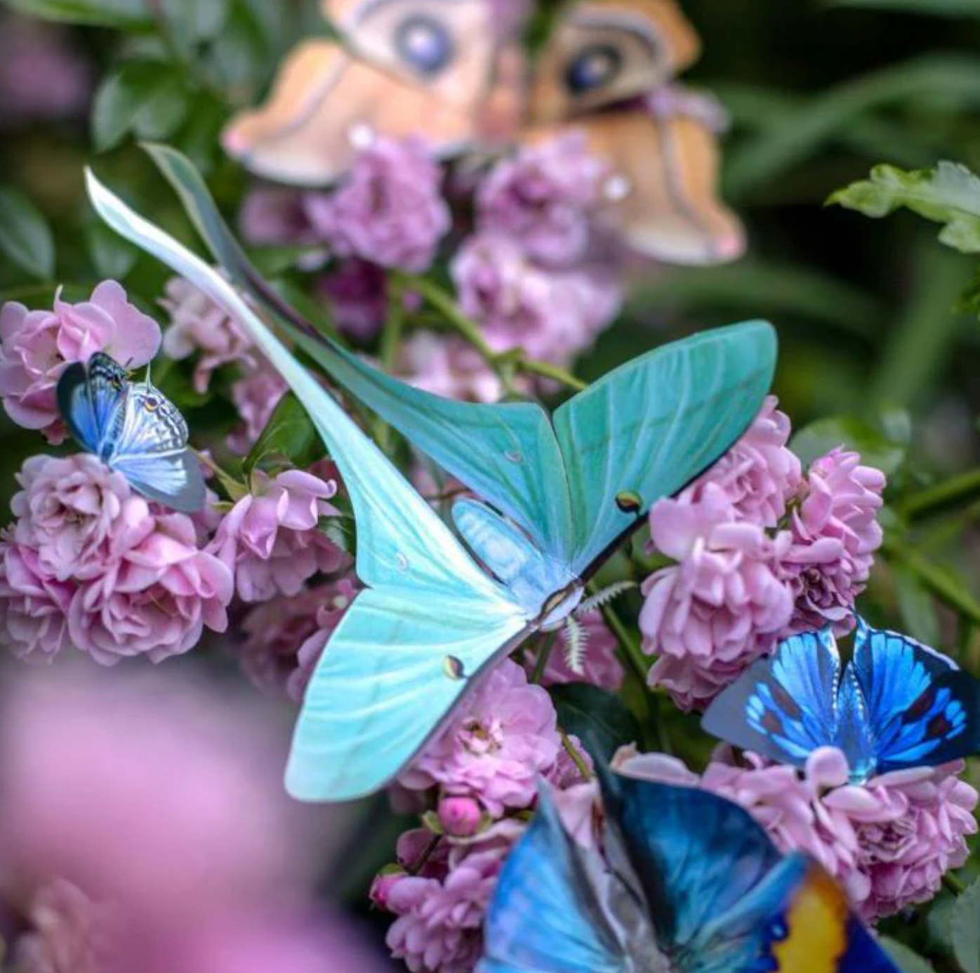 Moth & Myth ‘Hyacinth’ Butterfly 4 Pack Set