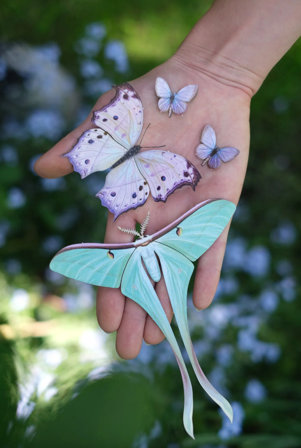 Moth & Myth ‘Hyacinth’ Butterfly 4 Pack Set