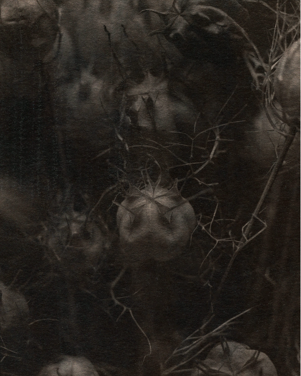 Michelle Smith-Lewis "In the Mist"